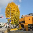 세븐일레븐 경복궁점 | [11월9일]경복궁 근처 당근라페 맛집 &#34;레스피레&#34; 후기