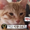잠꾸러기 - 파주시 가재울로93번길 25-9 | 잠꾸러기