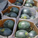 형제청과 이미지