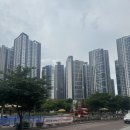 19 | 대구 수창동 과일가게 과일밥상센트럴점