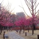 국채보상공원 티스토리