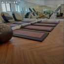 메타짐 신흥점 이미지