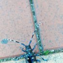 속초보광병원 이미지