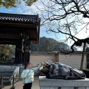 (유)진렌터카 | 후쿠오카 유후인 버스투어 후기 -아이랑둘이