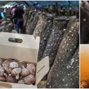 운수2리 이미지