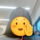 아름다움에 미친헤어
