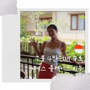 강공장_방글침구 | 우붓 시내 4만원 가성비 숙소 아쉬웠던 자니스 플레이스 코티지 비추 후기