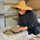 대본농장 이미지