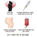 의학과한방(동영상):증상이 없는 HIV 감염 (HIV Infection, Asymptomatic) 이미지