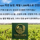 월 1,000페소애 본인 농장 소유 ? 이미지