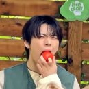 빵굽는 야옹이 | NN살에 다시 다녀온 수학여행_ 경주 여행 후기 (1)