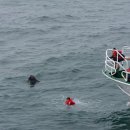 영랑동 해안방파제 이미지