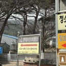 가족캠핑으로 좋은:) 영덕칠보산오토캠핑장🏕️