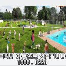 댕 빌리지 이미지