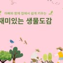 에드벨류