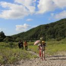 항사리 마을회관 이미지