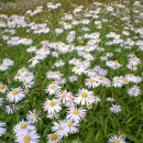 선배농장 이미지