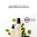 샤샤인셀덤 이미지
