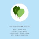 엔딩다이어트 이미지