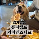 퓨파캠프커피앤스터프