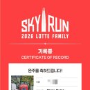 큰산메디칼 | 롯데타워 스카이런 2026 기록 보는 방법과 후기