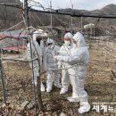 괴산군농업연구소 이미지