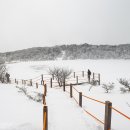 사라의 정원 이미지