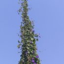 장흥 1리 이미지