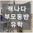 [캐나다 조기유학 정보] 부모 동반 유학 VS 관리형 유학, 어떤것이 더 좋을까? 이미지