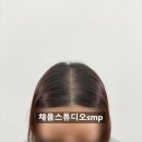 채움스튜디오smp 이미지