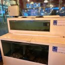 석봉튀김 이미지