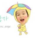 꽃솜이