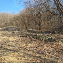 서리상반고려백자요지 이미지