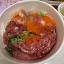 민성양계장 | 고양이와 이사하기 이리 힘내!!!♥️