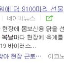 진기제 이미지