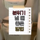 (유)소이 | 분위기 내기 좋은 퍼퓸 소이 캔들 라임유 우디 코튼 향 추천!