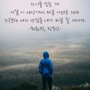 수원구치소부속의원 | 25년 10월 이야기, 20일은 홍띠가 풀밭을 온통 붉게 물들여놔서 이제 셔터 세례만 받으면 유명 인사...