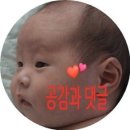 장수토종꺼먹돼지 네이버블로그