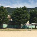 금곡초등학교 이미지