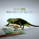 해피존 이미지