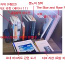 시즌스토리 브런치