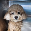 어둥이농장 이미지