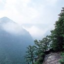 무릉계곡 이미지