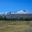 나란히 흐르다 이미지