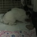결벽 이미지