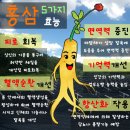 홍삼, 먹지 말아야 할 사람과 제대로 먹는 방법 이미지