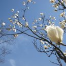 봄 - 양산시 야리2길 7-38 | 봄