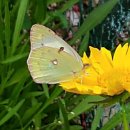 믿음,사랑,소망 이미지