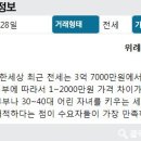 위례래미안공인중개사사무소 이미지