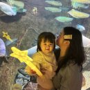 대전아쿠아리움 | 대전 신세계 아쿠아리움 어린이날 후기